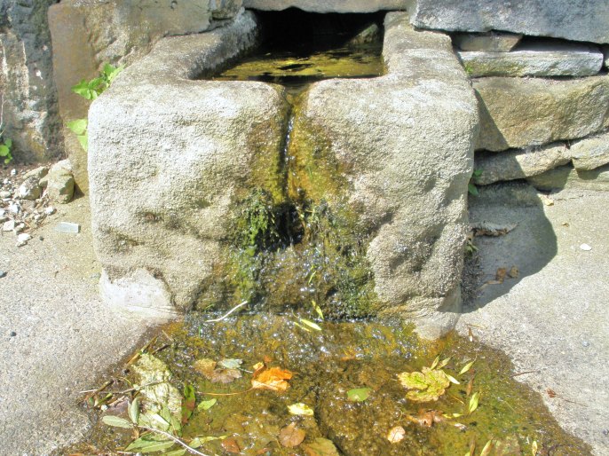 Jennet's Well/Spring