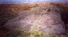 Click for full size image of Badger Stone (PID:1826) Badger Stone