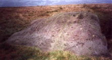 Badger Stone