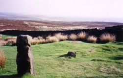 Horncliffe well - PID:10446