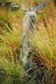 Click for full size image of Backstone Circle (PID:3929) Backstone Circle