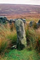 Backstone Circle