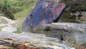 Harden Moor - PID:58295