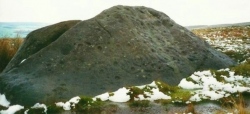 Click for full size image of Badger Stone (PID:119708) Badger Stone