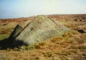 Click for full size image of Badger Stone (PID:129707) Badger Stone