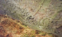 Click for full size image of Badger Stone (PID:129708) Badger Stone