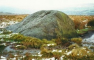 Click for full size image of Badger Stone (PID:105674) Badger Stone