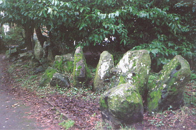 Pewsey Standing Stones (PID:14718) Pewsey Standing Stones