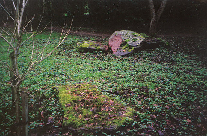 Click for full size image of Pewsey Standing Stones (PID:14719) Pewsey Standing Stones