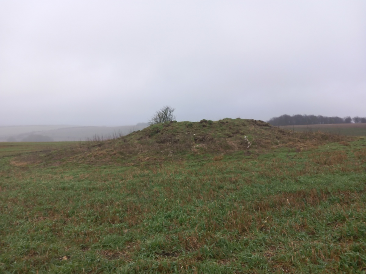 Click for full size image of Harestone Down Tumulus (PID:253619) Harestone Down Tumulus