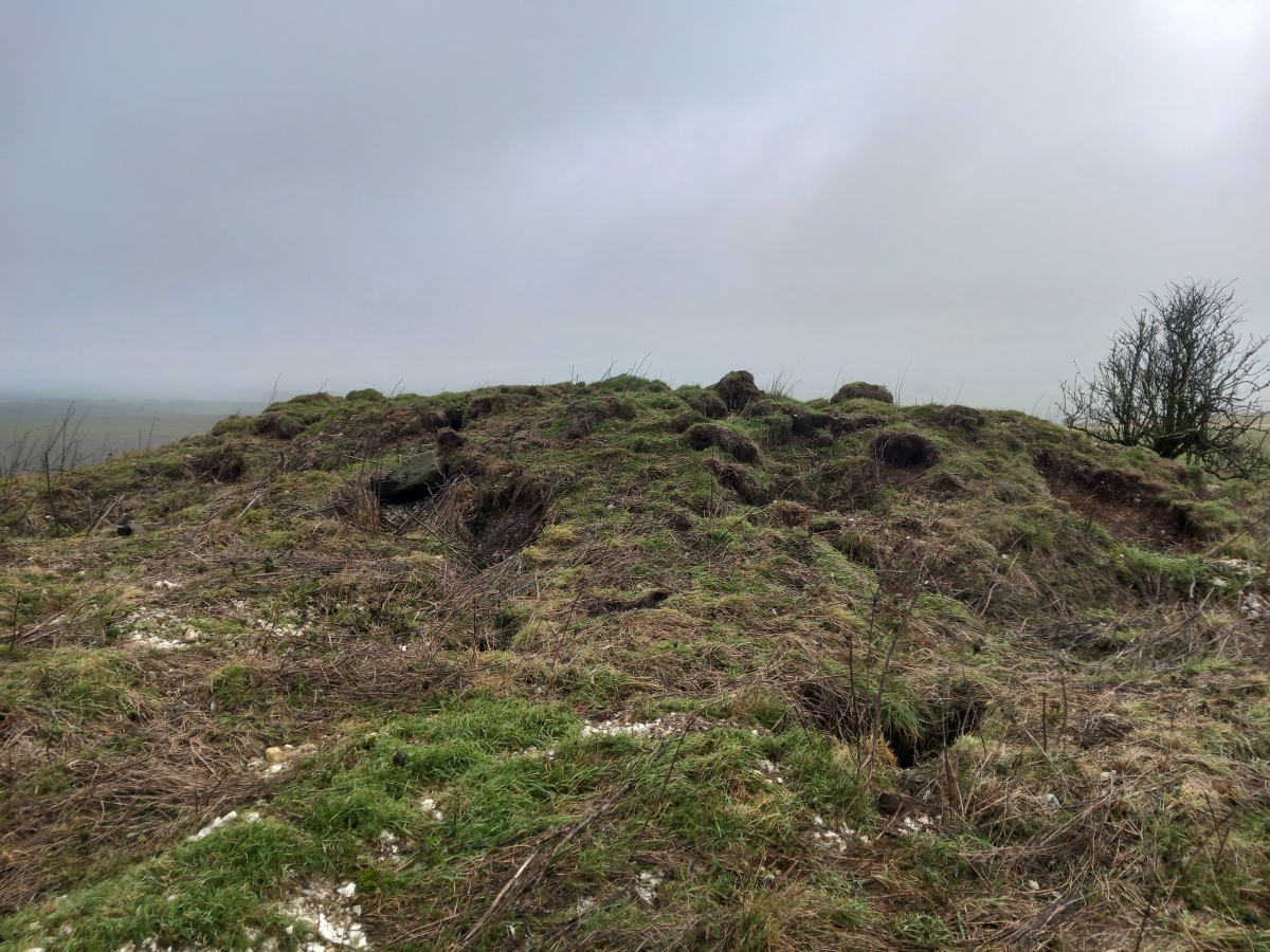 Click for full size image of Harestone Down Tumulus (PID:253620) Harestone Down Tumulus