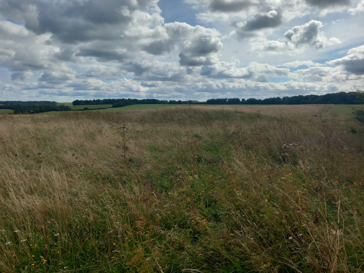 Normanton Down Long Barrow