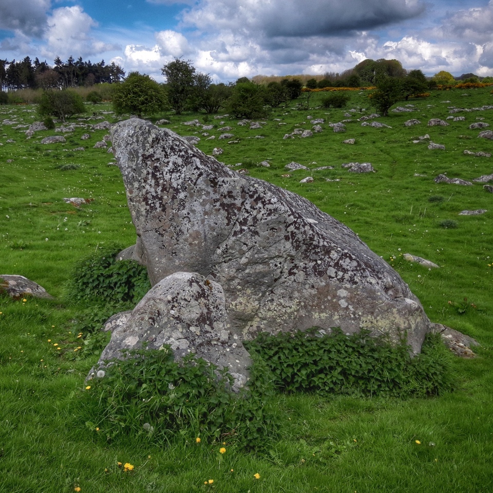 Click for full size image of The Toad Stone (PID:272936) The Toad Stone