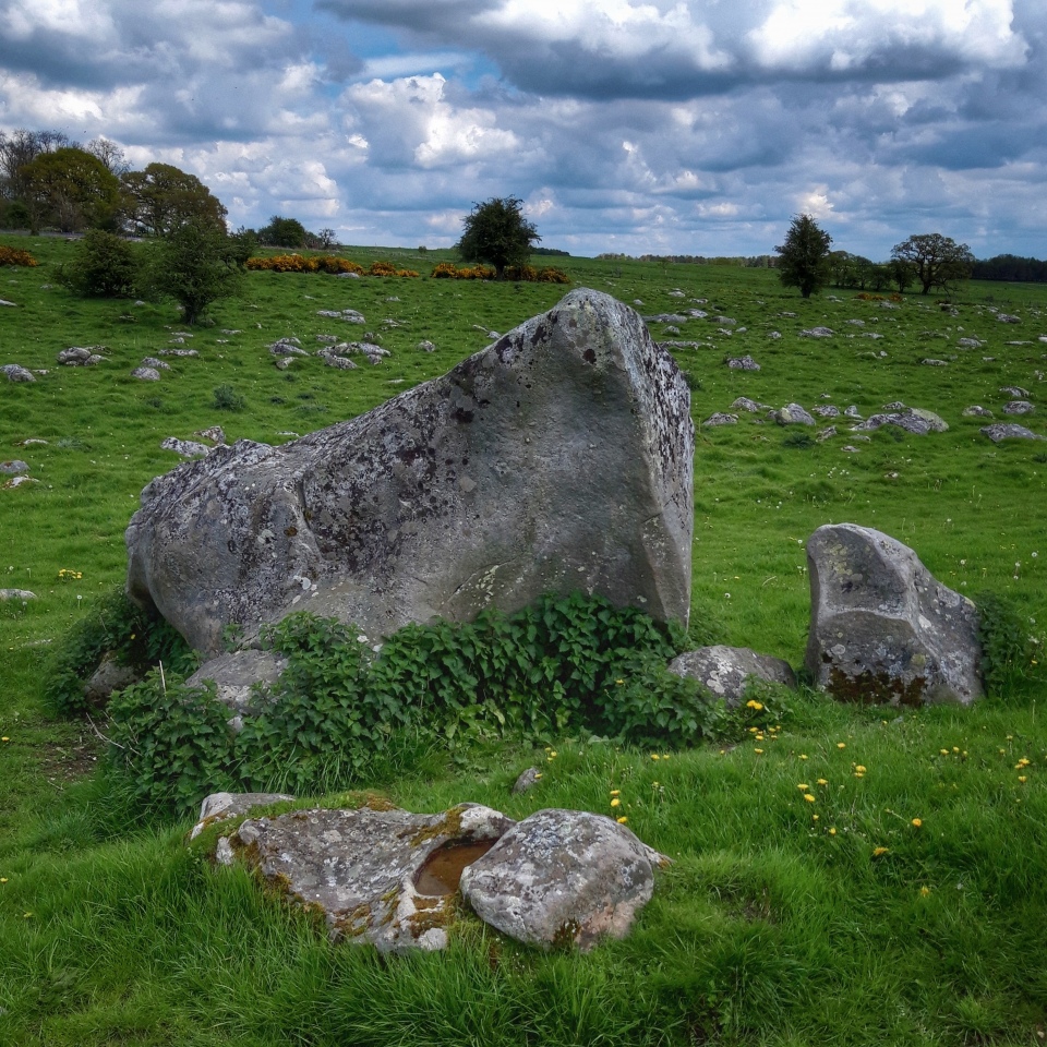 Click for full size image of The Toad Stone (PID:272937) The Toad Stone