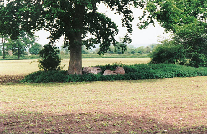 Click for full size image of The Hanging Stone (Wiltshire) (PID:18882) The Hanging Stone (Wiltshire)