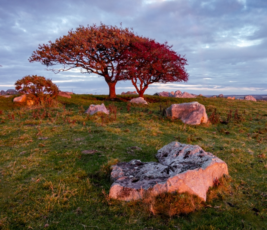 Click for full size image of The Toad Stone (PID:219082) The Toad Stone