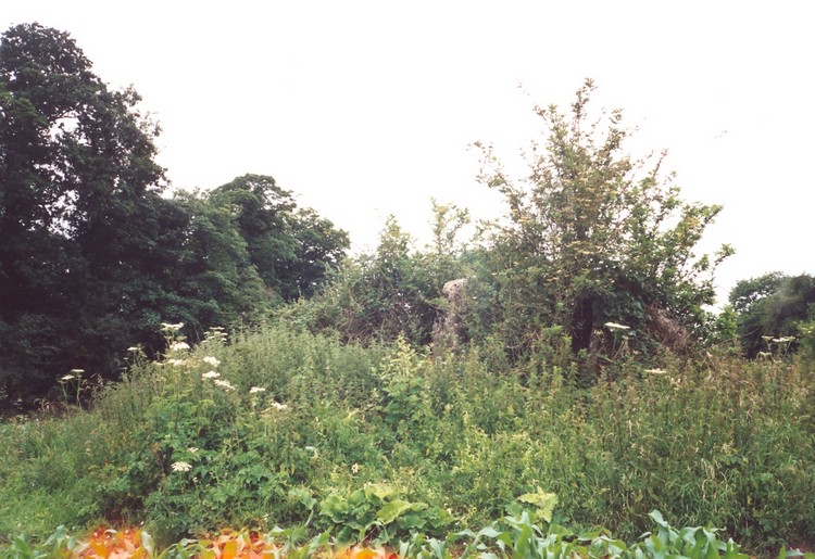 Click for full size image of Lugbury (PID:73315) Lugbury