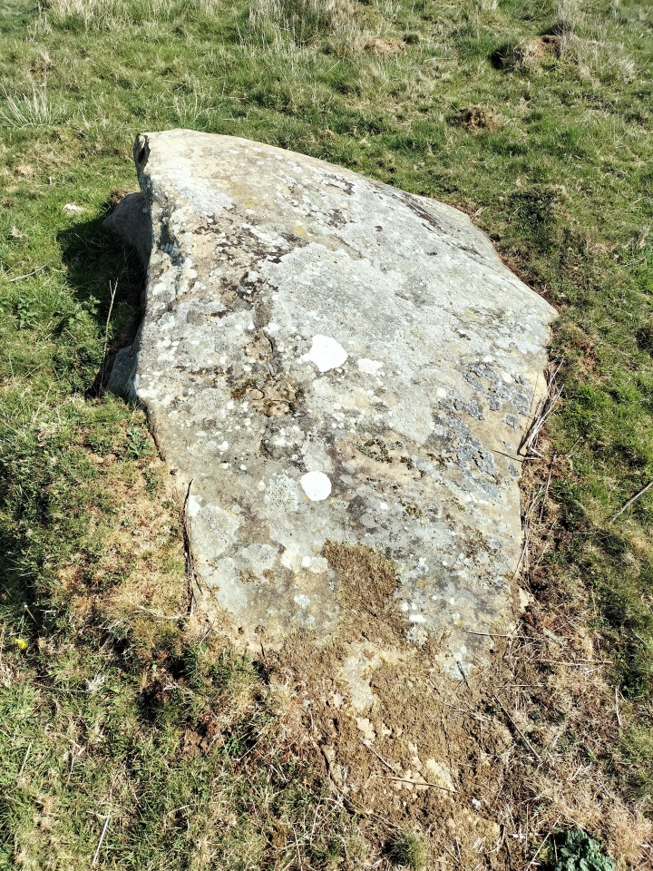 Click for full size image of Fyfield Down (Avebury) (PID:289460) Fyfield Down (Avebury)