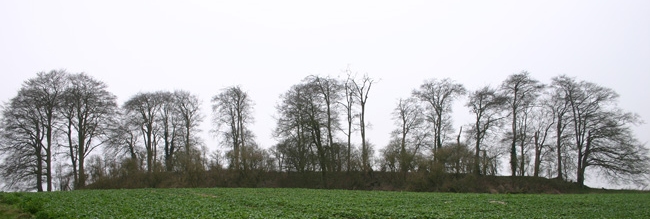 Click for full size image of East Kennett longbarrow (PID:11018) East Kennett longbarrow