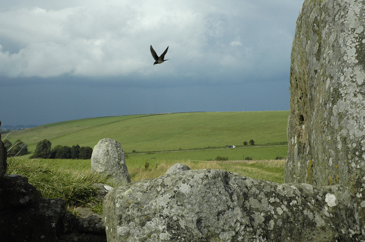 Click for full size image of West Kennett Long Barrow (PID:93135) West Kennett Long Barrow
