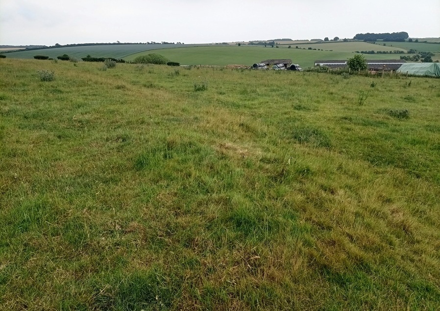 Fore Down Tumuli, In the foreground is a small barrow found at the South of the enclosure, behind it is the enclosure ditch