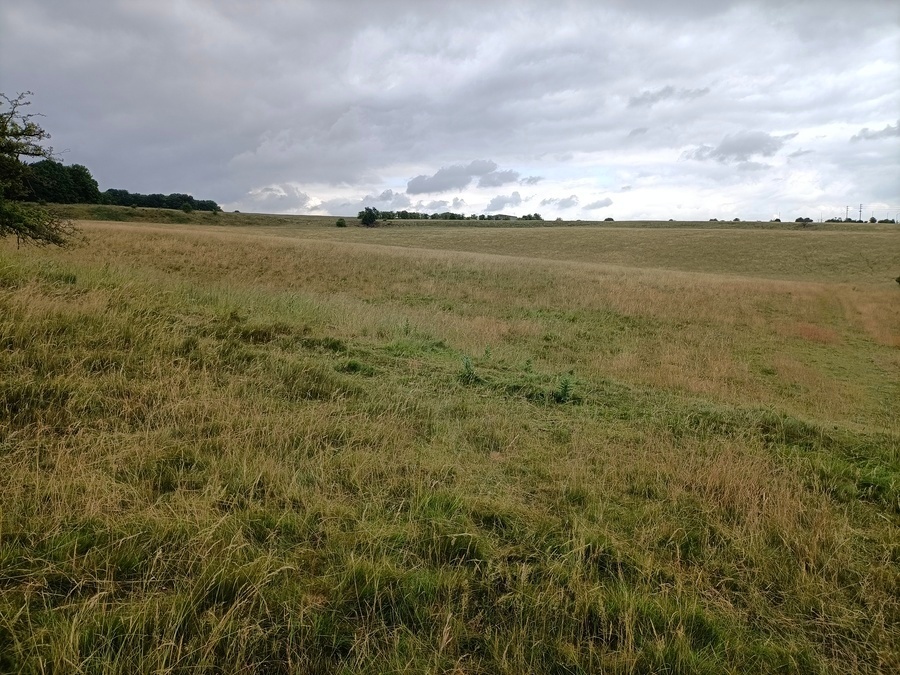 Click for full size image of Durrington Walls (PID:249962) Durrington Walls