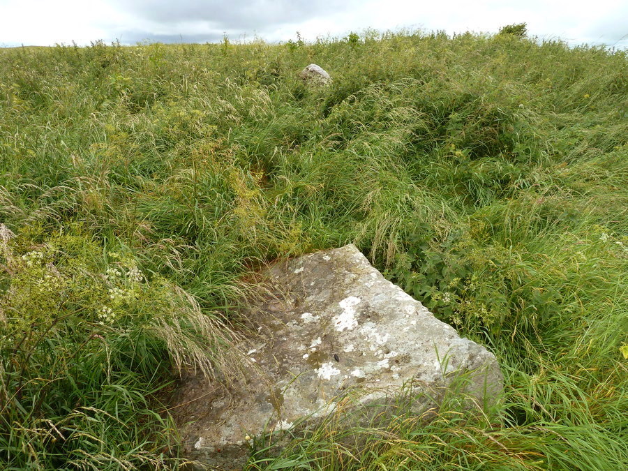 Click for full size image of Harestone Down (PID:156434) Harestone Down