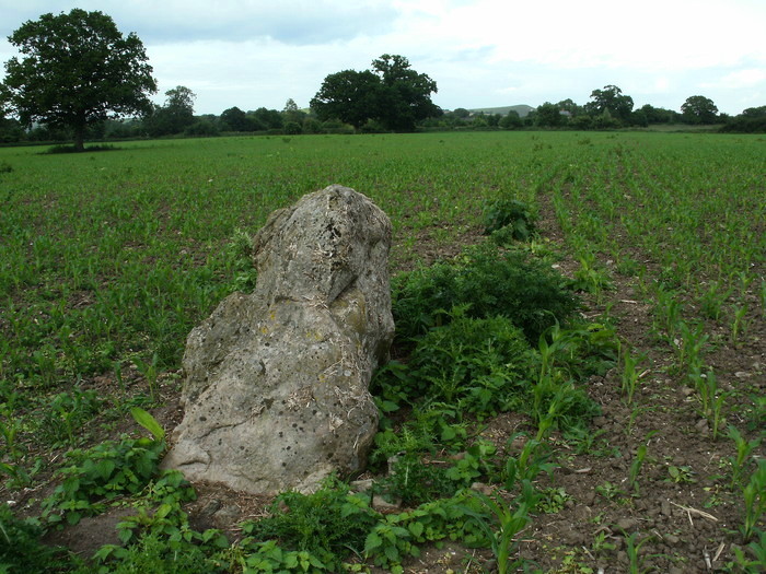 Click for full size image of The Hanging Stone (Wiltshire) (PID:110032) The Hanging Stone (Wiltshire)