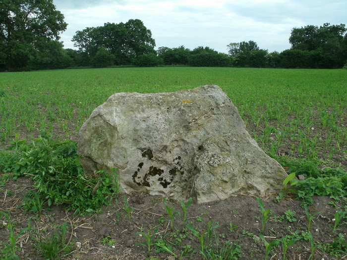 Click for full size image of The Hanging Stone (Wiltshire) (PID:110034) The Hanging Stone (Wiltshire)