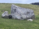 Click for full size image of The Toad Stone (PID:255089) The Toad Stone