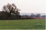 Click for full size image of Coate circle (PID:14113) Coate circle