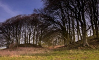 Overton Hill barrow cemetery