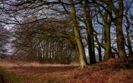 Overton Hill barrow cemetery