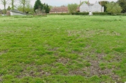 Click for full size image of Bluestonehenge (PID:213540) Bluestonehenge