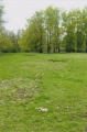 Click for full size image of Bluestonehenge (PID:213547) Bluestonehenge