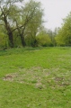 Click for full size image of Bluestonehenge (PID:213546) Bluestonehenge