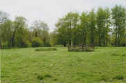 Click for full size image of Bluestonehenge (PID:213543) Bluestonehenge