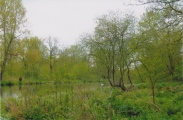Click for full size image of Bluestonehenge (PID:213552) Bluestonehenge