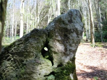Tisbury Circle - PID:88720