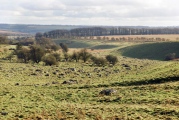 Click for full size image of Fyfield Down (PID:105625) Fyfield Down