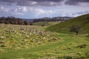 Click for full size image of The Toad Stone (PID:209083) The Toad Stone