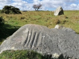 Click for full size image of The Polisher (Fyfield Down) (PID:217524) The Polisher (Fyfield Down)