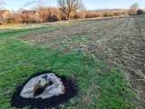 Click for full size image of Coate circle (PID:285758) Coate circle