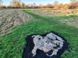 Click for full size image of Coate circle (PID:285760) Coate circle