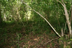 Jug's Grave - PID:91380