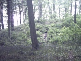 West Woods Long Barrow