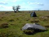 Click for full size image of The Polisher (Fyfield Down) (PID:8461) The Polisher (Fyfield Down)