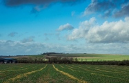 Click for full size image of Windmill Hill (Avebury) (PID:190422) Windmill Hill (Avebury)