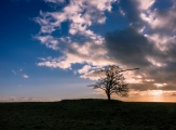 Click for full size image of Windmill Hill (Avebury) (PID:190425) Windmill Hill (Avebury)