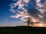 Windmill Hill (Avebury)